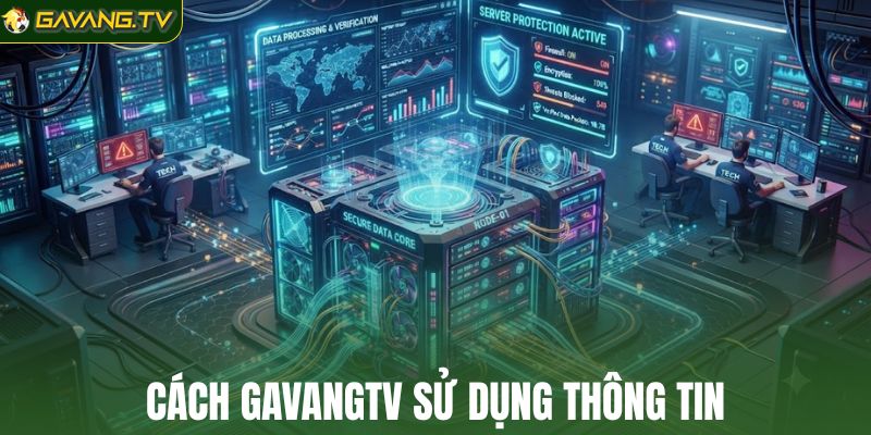 Cách GavangTV sử dụng thông tin