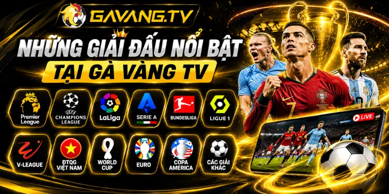 Những giải đấu nổi bật tại Gà Vàng TV